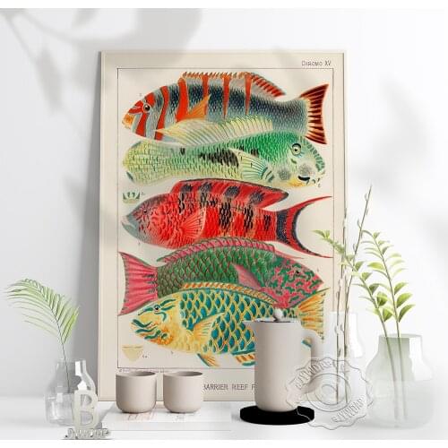 Australia Sea Fish Watercolour Sketches Retro Poster Cartoon Biology Painting Art Wall Pictures Kids Room Creche Home Decor Gift