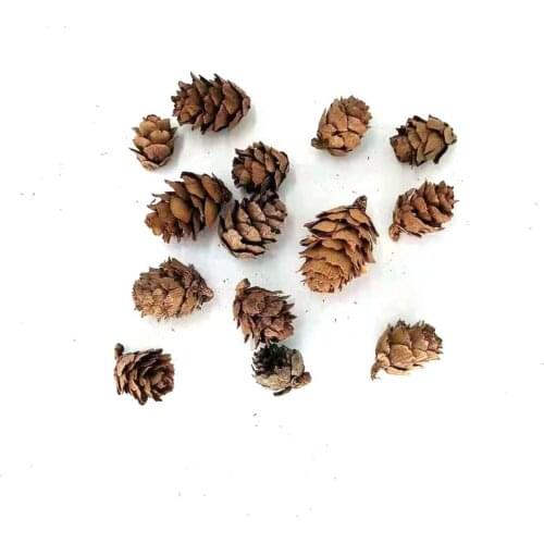 Mini natural pine cones for Wedding Christmas Tree Decoration DIY scrapbooking Crafts Home Decor 10pcs/bag