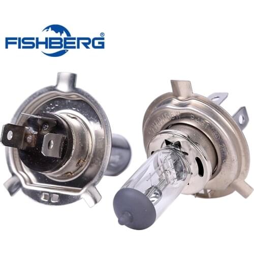 2pcs H4 12V 55W 4300K Halogen Car Light Bulbs Lamp Car Light Bulb Factory Price Car Styling Parking Free Shipping