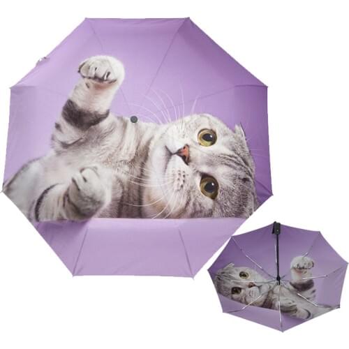 Cute Cat Umbrella Rain Women Windproof Ultralight Compact Automatic Folding Umbrellas Lady Umbrella for Girl