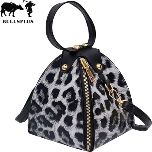 Ins fashion leopard triangle bag 2019 Korean new hand bag trend womens Single Shoulder Messenger Mini Bag
