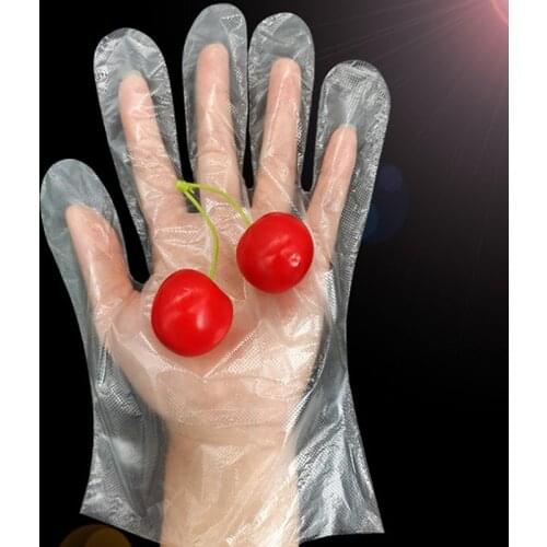 100Pcs New Eco-friendly Disposable Gloves Garden Household Kitchen Restaurant BBQ Clear Multi-functional Gloves Food Grade