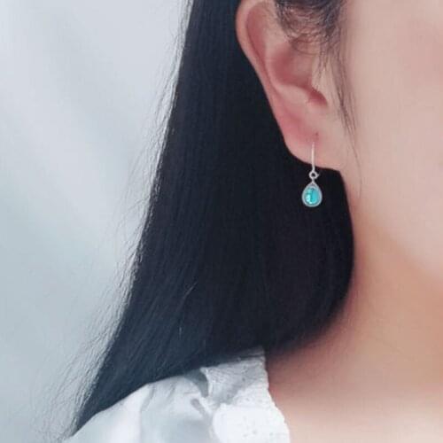 CA020 Women Transparent Crystal Drop Earrings Sterling Silver 925 Earring Exquisite Party Jewelry Pendientes