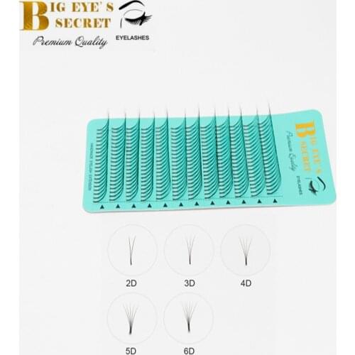 BIG EYES SECRET Beauty Makeup Individual Lashes 2D-6D Premade Fans Long Stem 100% Handmade Eyelashes Extension Supplies Can OEM