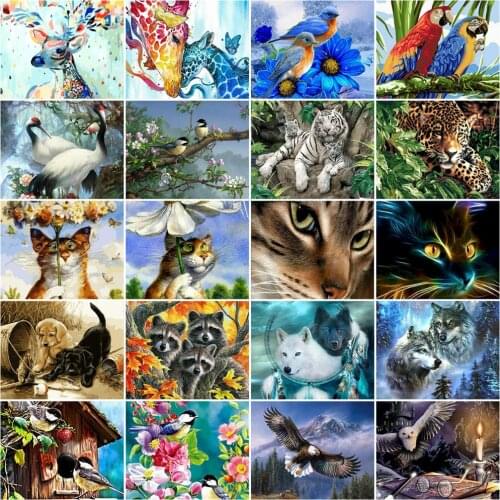 HUACAN DIY Frame Oil Painting By Numbers Cat Animal Acrylic On Canvas Wall Art Picture By Numbers Wolf For Living Room