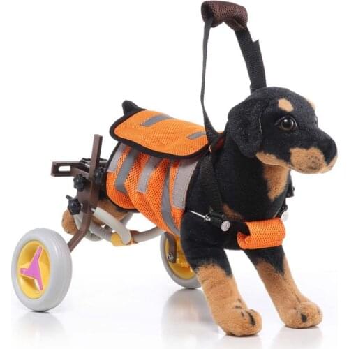 BELLYDE Dog Training Collars And Dog Repellents