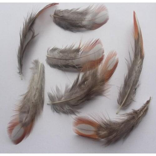 New 6-10 cm 10 pcs Pretty Natural Pheasant Feathers DIY Jewelry Clothing Hat Christmas Holiday Decoration