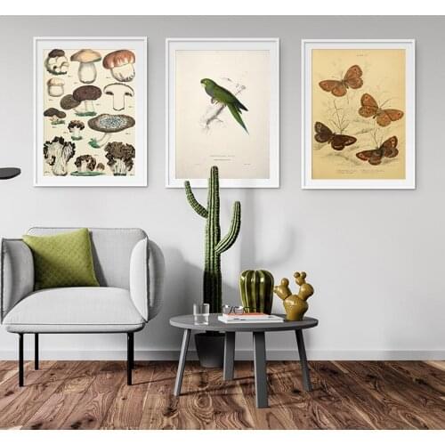 Vintage Butterflies Bees Insects Birds Mushrooms Plants Posters and Prints Wall Art Canvas Painting Picture Home Decoration