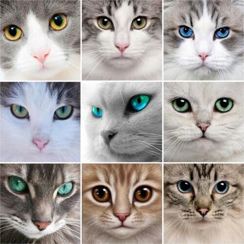 MOONCRESIN Animal Diamond Painting Full Square Cat 5D Diamond Art Embroidery Cross Stitch Decoration For Home Gift