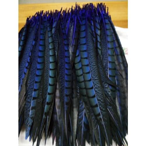 Wholesale perfect 10pcs high quality natural sapphire Lady Amherst Pheasant Feathers 12-14inch/30-35cm Decorative diy