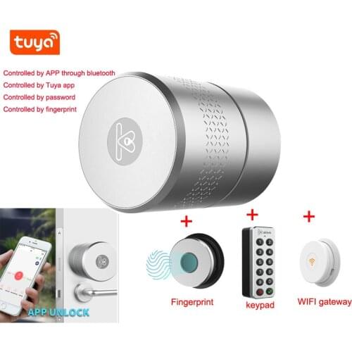 Airbnk Security Keyless Fingerprint Smart Lock Cylinder Tuya Alexa Google Home WiFi Digital Smart Door Lock EU Version