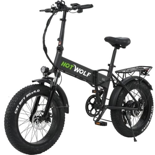 20 inch Bike Fat tire Electric bike 750W 48V12.8AH folding Aluminum allo beach Ebike cruiser snow Adult bicycle electric bicycle