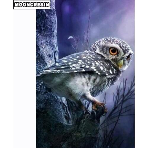 5D Diy Diamond Painting Owl Mosaic Picture Of Rhinestone Handwork Diamond Embroidery Sale Animal Cross Stitch Set Fashion Decor