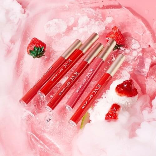 5 Colors Matte Lip Gloss Velvet Waterproof Non-stick Long Lasting High Quality Natural Easy To Wear Makeup Lip Gloss TSLM1