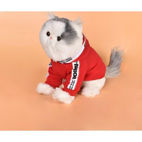 New dog clothes autumn and winter clothes cat two-legged sweater small dog pet clothing