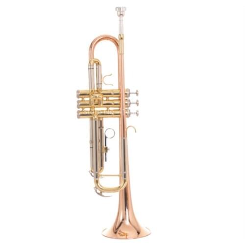 SADSN STR-500L Bb Tune Trumpet Phosphorus Copper Ross Gold B Flat Trumpet Instrument with Mouthpiece Case