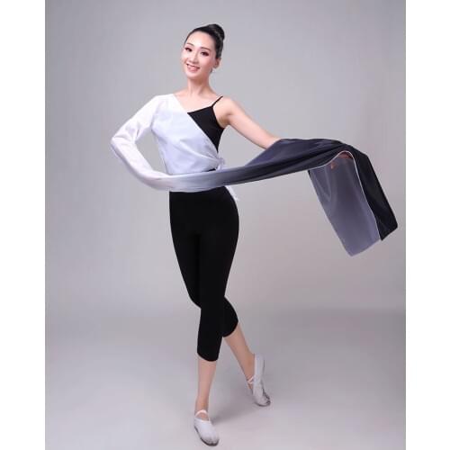 Hanfu Water Sleeve Costumes Chinese Yangko Dance Tops Female Traditional Elegant Folk Dance Performance Classical Costumes