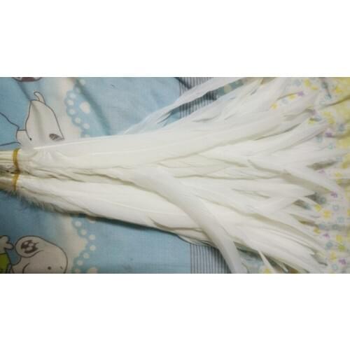 Wholesale sale beatifl 50pcs high quality scare natural pure white Rooster tail feathers 12-14inch/30-35cm Decorative diy