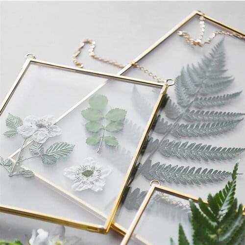 Hanging Glass Photo Prame Specimen Clip Decorative Picture Frame Specimen Holder Hanging Photo Frames Wall Decoration