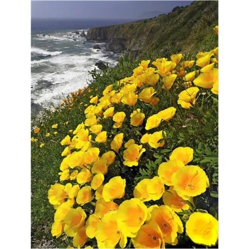 Full Square DIY Diamond Embroidery sale 5D Diamond Painting beach flower picture of Rhinestone,Mosaic diamond,home Decor