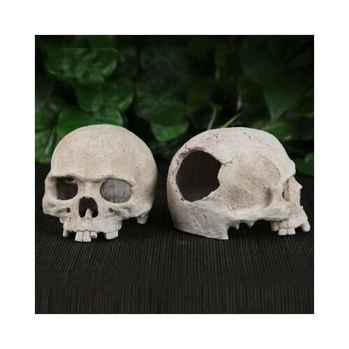 Crawler box Landscaping Decoration lizard snake spider scorpion cave aquarium decorative landscape Skeleton Skull