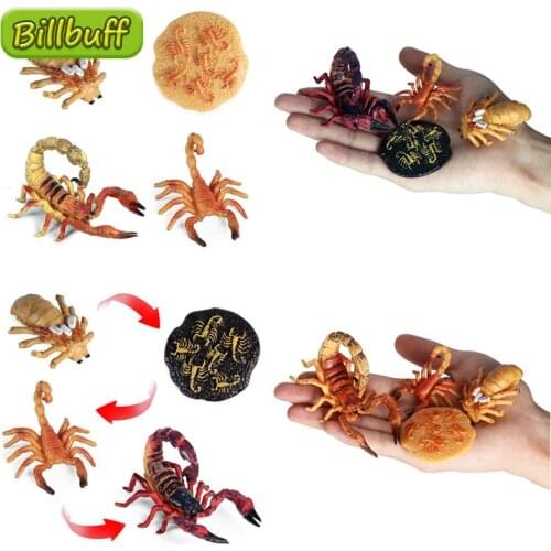 2020 DIY Simulation Animal ABS Action Figures Scorpion Stage Spider Crocodile Solid Life Growth Cycle Set Toys For Children Gift