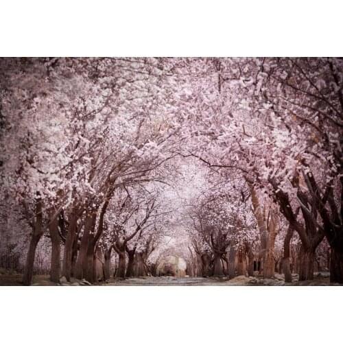 JMINE Div 5D Cherry Flower Tree Road Full Diamond Painting cross stitch kits art High Quality landscape 3D paint by diamonds