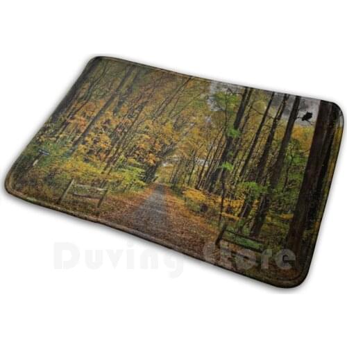 Owl Hollow Soft Non-Slip Mat Rug 2668 Carpet Cushion Fall Autumn Foliage Trees Color Owl Silhouette Road Lehigh Valley