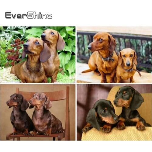 EverShine Diamond Painting Full Square Dog Cross Stitch Bead Picture Kits Diamond Embroidery Sale Animals Art Gift Home Decor