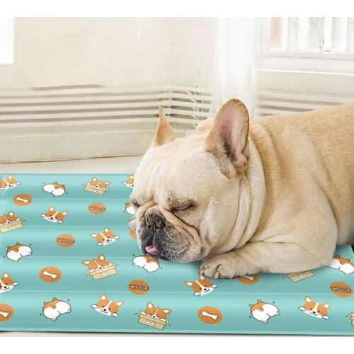 Wholesale Summer Pet Ice Mat for Teddy Dog Cartoon Cooling Mat Soft Ice Gel Doghouse Mat Pet Supplies Dog Accessories 40x30cm
