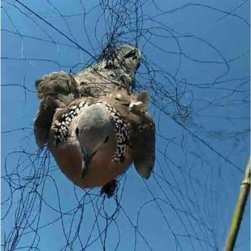 High quality, prevent big birds, garden bird nets, anti-bird nets, anti-fog nets, do not hurt birds, orchards, bird nets