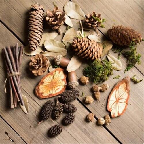 Artificial Plants Simulation Multi-type Natural Branches Acorn Fake Wood Plants DIY Package Photography Props Decor Accessory