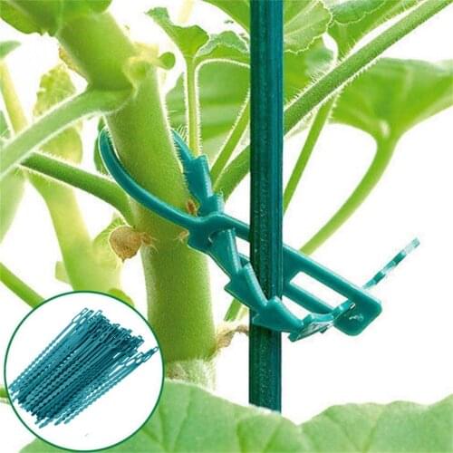 50pcs Adjustable Plastic Plan Grafting Clips Fastener Plant Vines Vegetable Tendril Clip Tomato Vegetables Fixed Clamps