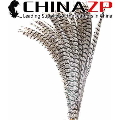 CHINAZP Pheasant Feather Retail Sale 90 to 100cm Natural Zebra Lady Amherst Pheasant Tail Feathers For Mardi Gras Costume