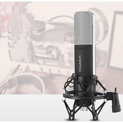 Yanmai Professional Condenser Microphone Cardioid with Shock Mount for Recording