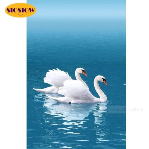 Full Drill 5d Diamond Diamand Painting Cross Stitch Swan Daimond Mosaic Pattern Embroidery Swans Square Art Craft Diy Free Tools
