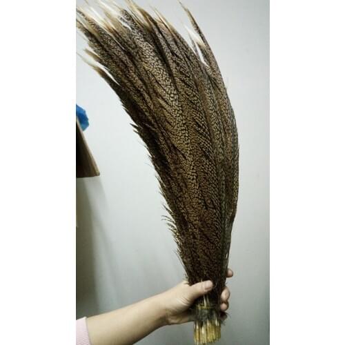 Wholesale High-quality original 100pcs natural Golden Pheasant feathers 60-70cm /24-28nch A variety of decorative