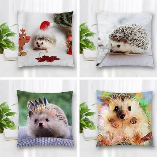 Hot Sale Custom Decorative Pillowcase Hedgehog Square Zippered Pillow Cover Best Nice Gift 20X20cm 35X35cm 40x40cm