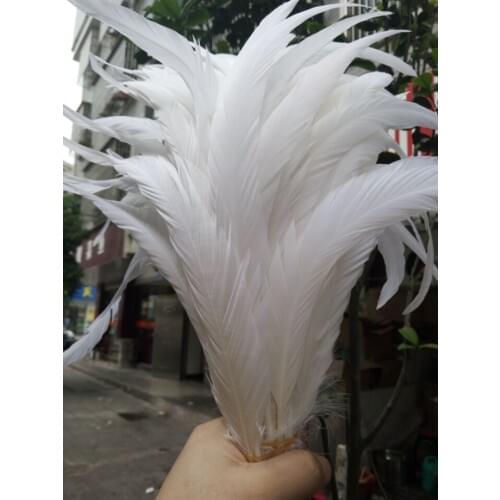 Wholesale 500pcs Natural pure white rooster tail feathers 25-30cm/10-12inch Clothing accessories stage performance diy