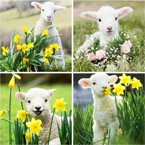 HUACAN Diamond Embroidery Painting Sheep Cross Stitch Full Square 5D Mosaic Flower Handicraft Picture Of Rhinestone Home Decor