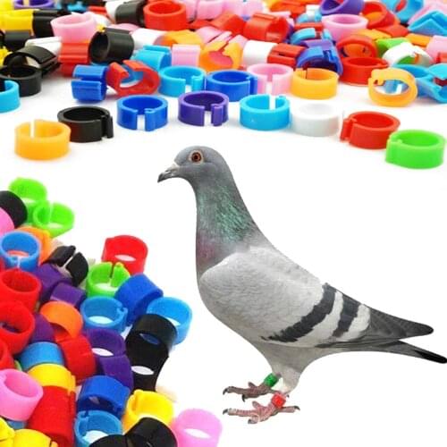 AUXPhome （ Pack of 200 ） 0.31" Bird Foot Rings Colorful Leg Bands Clip on Leg Rings for Pigeon Dove Chicks Bantam Quail Lovebird
