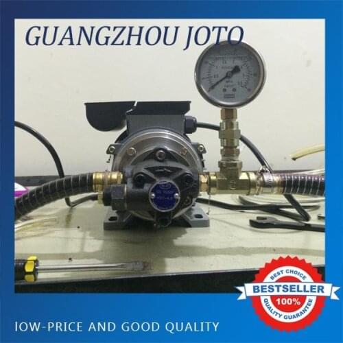 6L Big Capacity Gear Oil Pump 250W Big Power Oil Pumping Machine 220V 50HZ