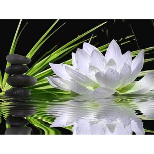 DIY Diamond Embroidery Flowers Diamond Painting Full Square Beaded Cross Stitch Lotus Diamonds Mosaic Home Decoration FH1289