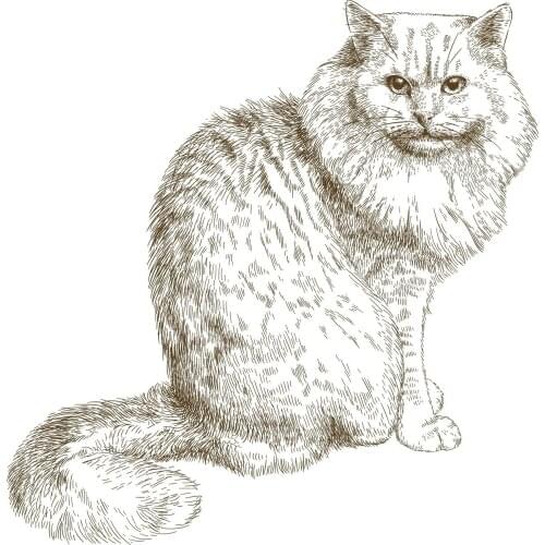 DABOXIBO Sitting Cat Clear Stamps Mold For DIY Scrapbooking Cards Making Decorate Crafts 2020 NEW Arrival