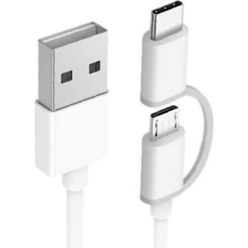 2-In-1 USB Cable (Mini USB to Type C) 100cm Applicable to All Type -C Products and Mini Products