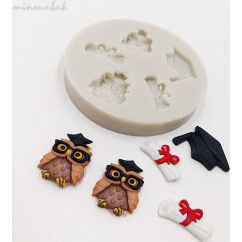 Minsunbak Cute Owl Dr. Silicone Fondant Mold Doctors Hat And Bow Certificate Cake Decorating Tools