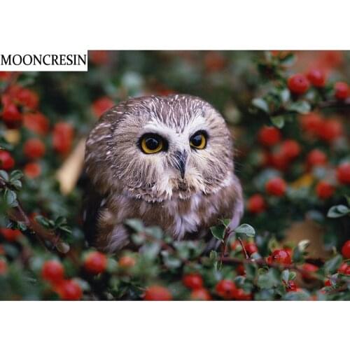 5D Diamond Painting Animal Owl Full Square Resin Cross Stitch Diy Diamond Embroidery Flower Mosaic Handicraft Decoration Home