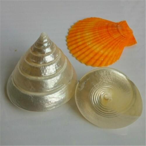Natural conch shell spiral tower spiral decorative landscaping aquarium fish tank ornaments Mediterranean