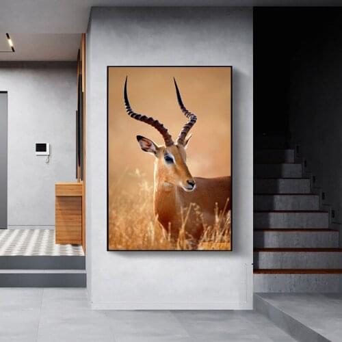 Wild Tibetan Antelope Cuadros Painting Unframed 1 Panels Modern Home Wall Decor Canvas Picture Art Hd Print
