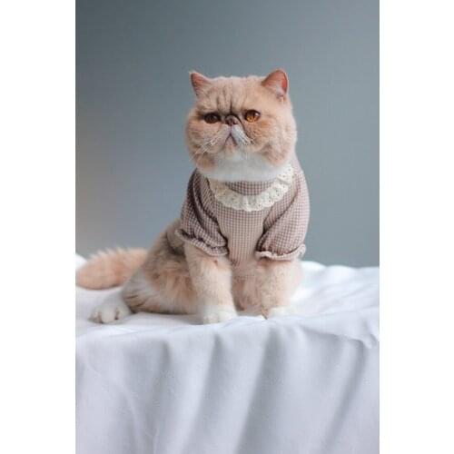 Pet Clothing Spring and Summer Thin Kitten Puppies Garfield Pomeranian Maltese Puppy Cute Costume Dog Clothes